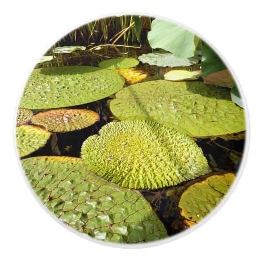 Lily Pads Ceramic Knob Keramische Knop (Voorkant)
