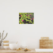 Lily pads en Lotus Flowers Poster (Keuken)