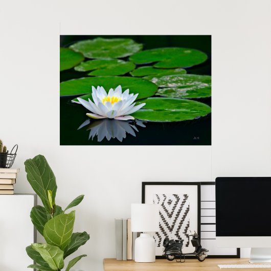 Lily Pads en Lotus Poster (Thuiskantoor)