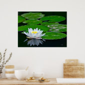 Lily Pads en Lotus Poster (Keuken)