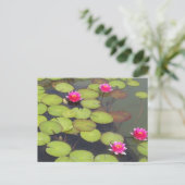 Lily Pads en Lotus Zen Post Card Briefkaart (Staand voorkant)