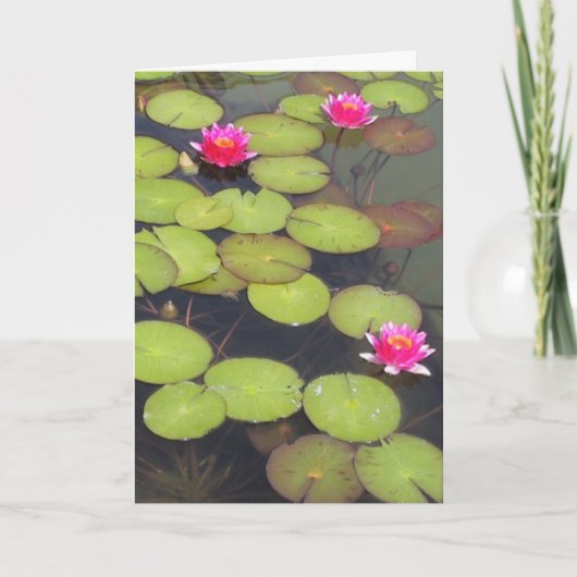 Lily Pads en Lotus Zen Verjaardag Kaart (Voorkant)