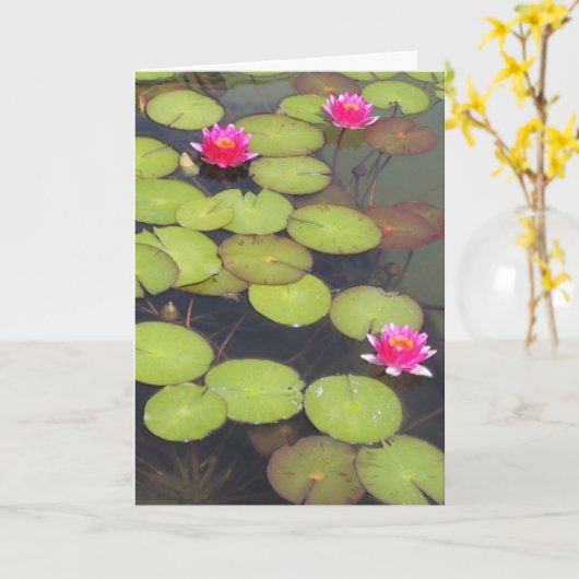 Lily Pads en Lotus Zen Verjaardag Kaart (Gele Bloem)
