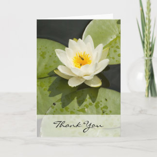 Lily Pads en White Lotus Flower Bedankt