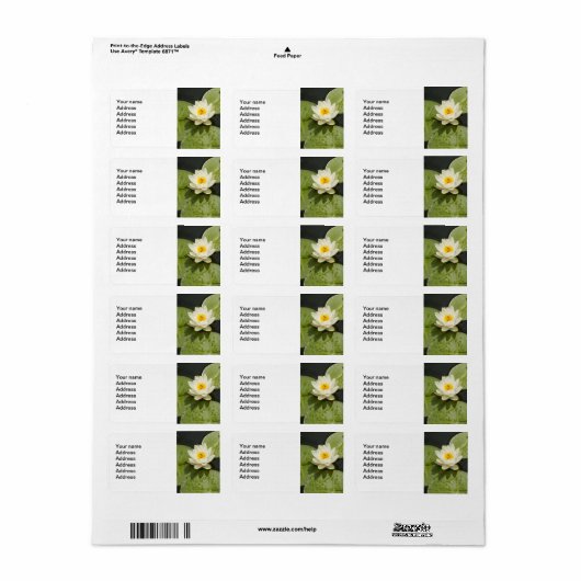 Lily Pads en witte Lotus Bloem Etiket (Full Sheet)