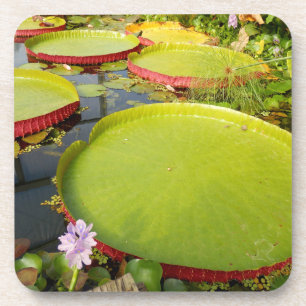 Lily Pads Hard Plastic Onderzetter