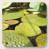 Lily Pads Hard Plastic Onderzetter (Voorkant)