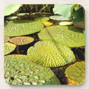 Lily Pads Hard Plastic Onderzetter