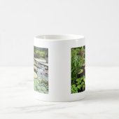 Lily Pads in Longwood Gardens Koffiemok (Center)