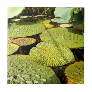 Lily Pads keramische teile Tegeltje