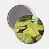 Lily Pads Magnet (Voorkant / Achterkant)