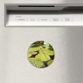 Lily Pads Magnet (Insitu (Vaatwasser))