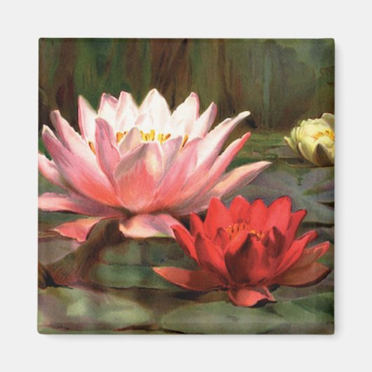 Lily Pads - Magnet (Voorkant)