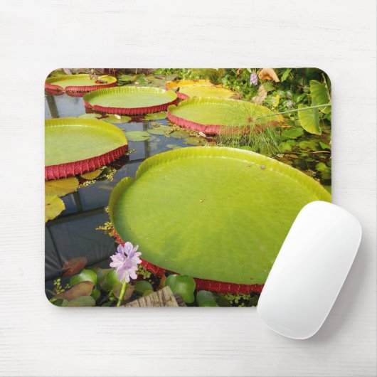 Lily Pads Mouse Mat Muismat (Met muis)
