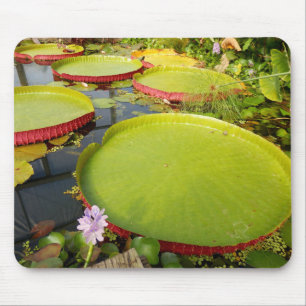 Lily Pads Mouse Mat Muismat