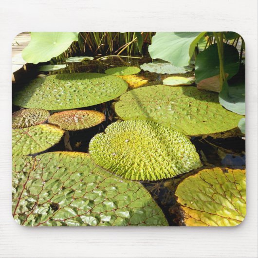 Lily Pads Mouse Mat Muismat (Voorkant)