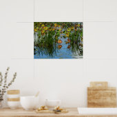 Lily Pads op de foto van de Mississippi Poster (Keuken)