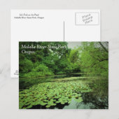 Lily Pads op de Pond Briefkaart (Voorkant / Achterkant)