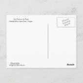 Lily Pads op de Pond Briefkaart (Achterkant)