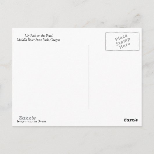 Lily Pads op de Pond Briefkaart (Achterkant)