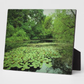 Lily Pads op de Pond Fotoplaat (Zijkant)