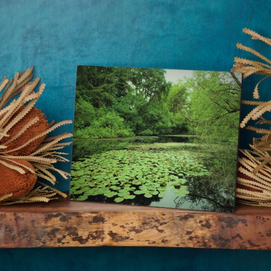 Lily Pads op de Pond Fotoplaat (Zijkant)