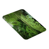 Lily Pads op de Pond Magneet (Rechterzijde)