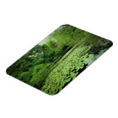 Lily Pads op de Pond Magneet (Linkerzijde)