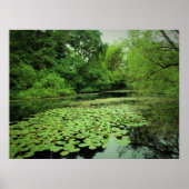 Lily Pads op de Pond Poster (Voorkant)
