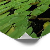 Lily Pads op de Pond Poster (Hoek)