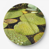 Lily Pads Paper Bord (Voorkant)