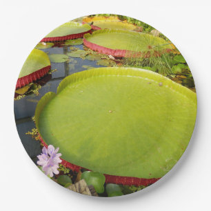 Lily Pads Paper Bord