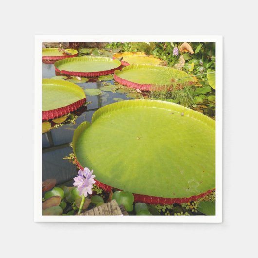Lily Pads Paper Napkins Servet (Voorkant)