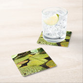 Lily Pads Paper Onderzetter (Insitu)