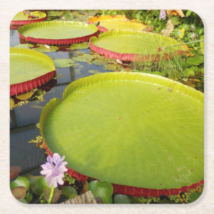 Lily Pads Papier Onderzetter