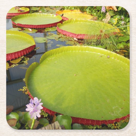 Lily Pads Papier Onderzetter (Voorkant)
