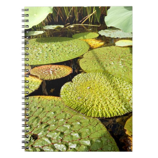 Lily Pads Photo Notitieboek (Voorkant)