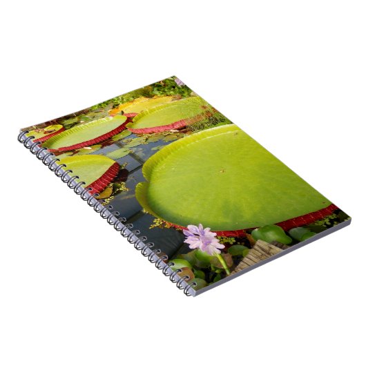 Lily Pads Photo Notitieboek (Rechterzijde)