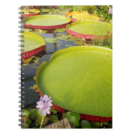 Lily Pads Photo Notitieboek (Voorkant)