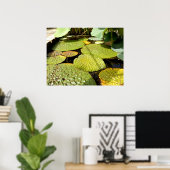 Lily Pads Poster (Thuiskantoor)