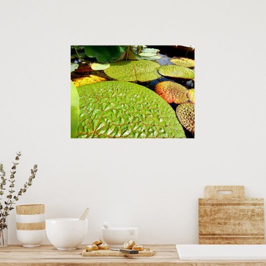Lily Pads Poster (Keuken)