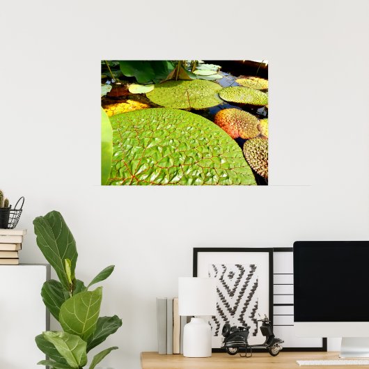 Lily Pads Poster (Thuiskantoor)