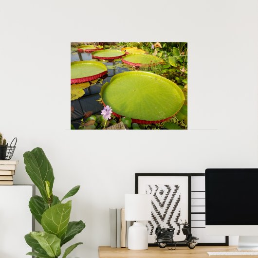 Lily Pads Poster (Thuiskantoor)