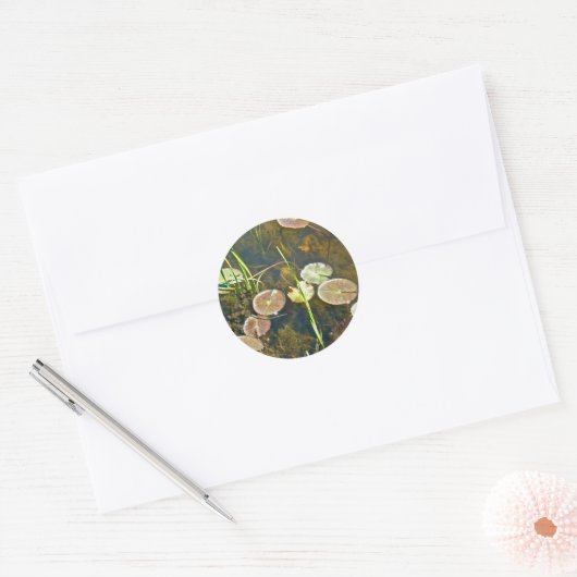 Lily Pads Sticker (Envelop)