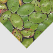Lily Pads Tissuepapier (Detail)