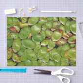 Lily Pads Tissuepapier (Craft)