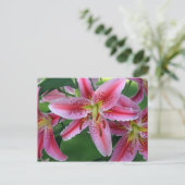 Lily Pink Stargazer Briefkaart (Staand voorkant)
