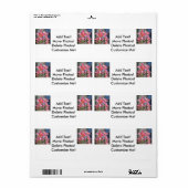 Lily Plant Pink Etiket (Full Sheet)