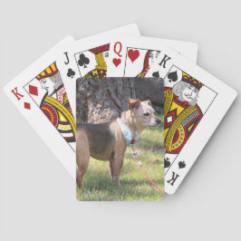 Lily Playing Cards Pokerkaarten