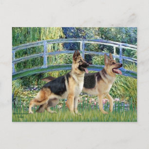 Lily Pond Bridge - Twee Duitse herders Briefkaart